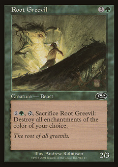 Root Greevil